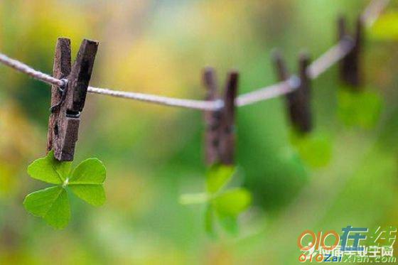 雨后春天的抒情散文