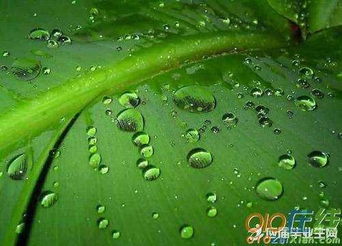 绵绵的春雨仿写句子