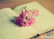 最好的溫暖晚安心語