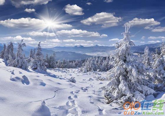 形容飞雪的比喻诗句