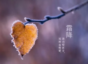 詩詞欣賞：《夢該醒了》