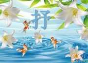 抒發隨遇而安之感的散文