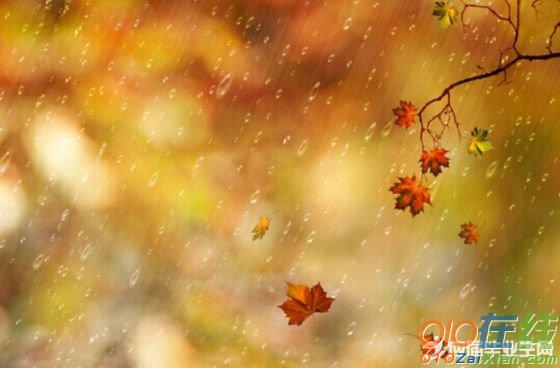 秋风秋雨的诗句