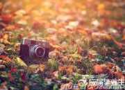 傷感散文：今夜，我在孤獨中老去