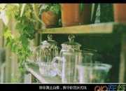 情侶的傷感句子