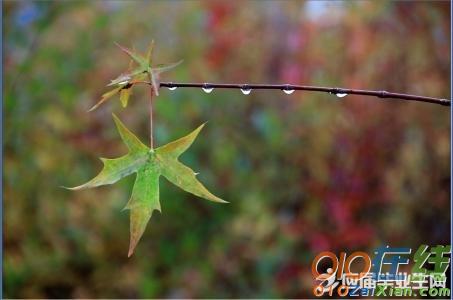 关于风雨的诗句全