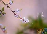 古代關于立春的詩詞大全
