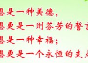 關于親情的排比句大全
