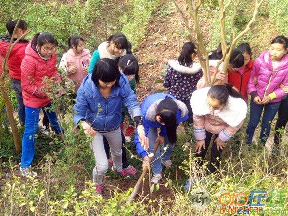 2016中学植树节活动总结