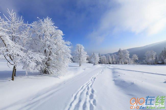 写雪的优美段落200字