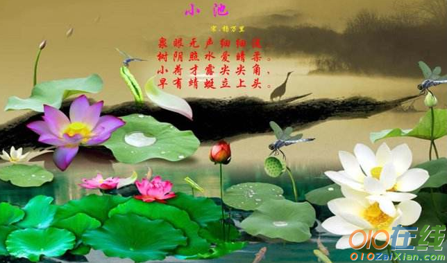 《小池》,成为家喻户晓的风景诗作,表达了诗人杨万里对于荷花的喜爱之