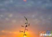 生活積極向上的短句子圖片
