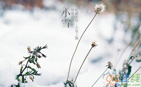 形容小雪的古代诗词