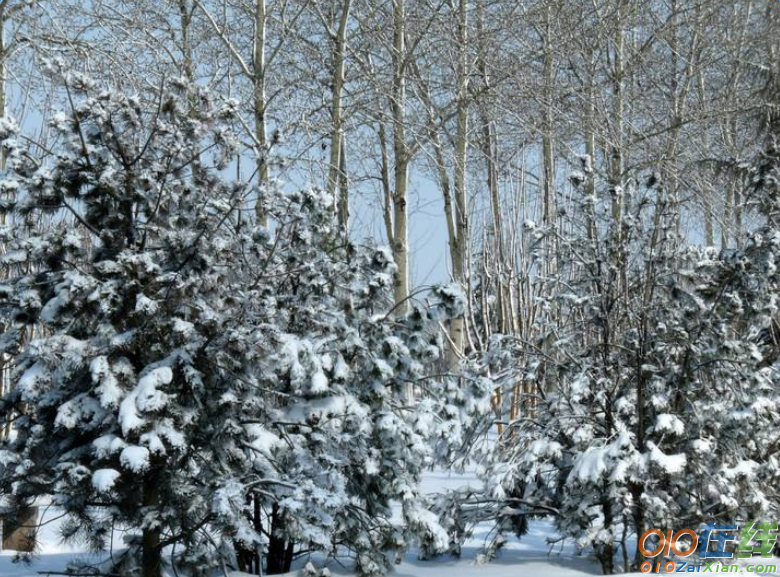 描写冬雪的诗句盘点