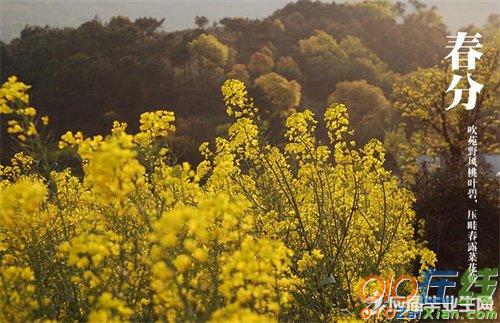 关于春分踏青的古诗词