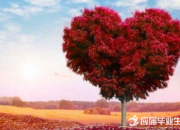 關于優美的排比句大全集