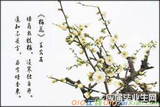 王安石写有关梅花的诗句