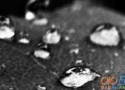 《黑兔和白兔》寓言故事