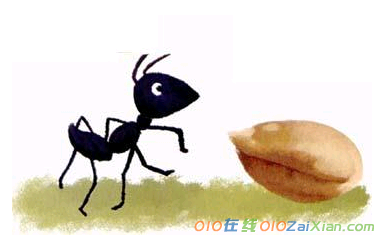 宝宝睡前故事：蚂蚁和麦粒