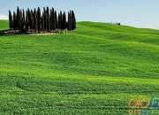 成語故事大全四字 成語