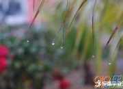 晏殊著名的詞