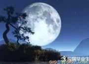 表現(xiàn)思鄉(xiāng)之情的詩句有哪些