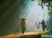 形容春雨過后的句子