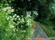 炎熱夏季清涼祝福語