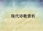 優(yōu)美的原創(chuàng)現(xiàn)代詩歌