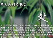 節(jié)氣處暑祝福語(yǔ)2016
