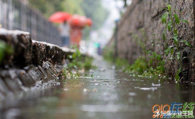 关于写春雨的句子