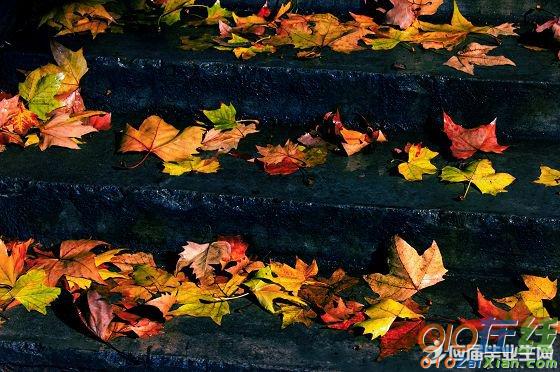 写出与秋雨有关的诗句