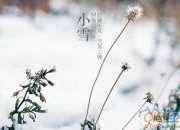 節(jié)氣小雪的詩(shī)詞