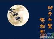 明月寄托相思的詩句