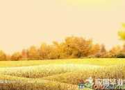 陽光英文個性簽名