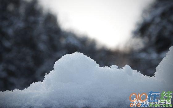 两个含雪的诗句