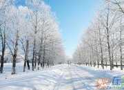 冬天雪的贊美詩句