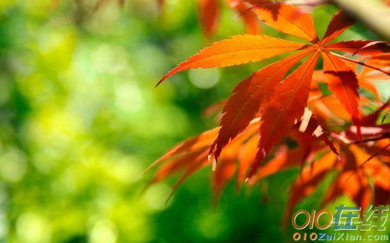 写秋天的红叶的诗句