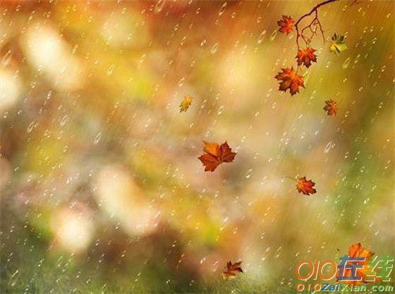关于秋风秋雨的诗句