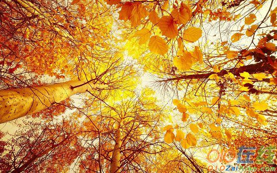 关于形容秋天的诗句