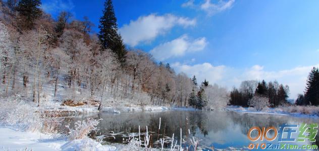 冬雪优美的句子