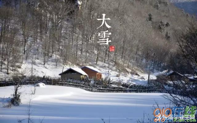 精选大雪节气的散文