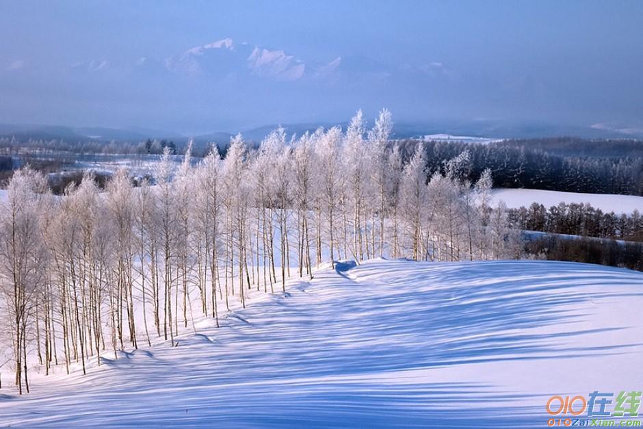 描写冬天美景的古诗句十首