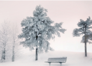 下雪愛情離別傷感的詩句