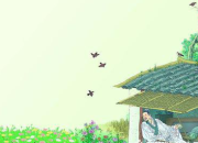 《春曉》古詩(shī)賞析