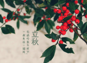 立秋節氣的故事與說法