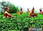 關(guān)于24節(jié)氣谷雨的古詩(shī)