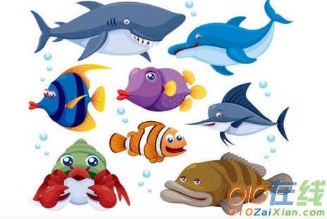 写海洋动物的英语作文
