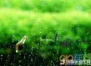 經典春雨的詩句
