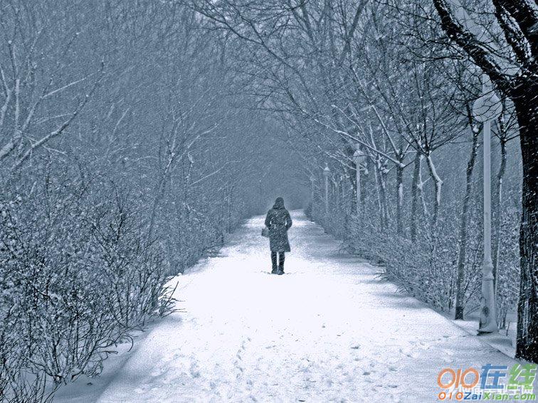 徐志摩关于雪的诗